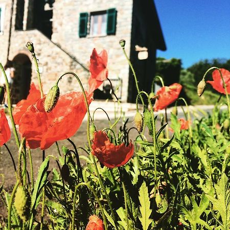 Agriturismo Angio Nel Cere Bracelli Zewnętrze zdjęcie