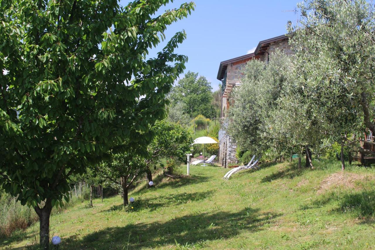 Agriturismo Angio Nel Cere Bracelli Zewnętrze zdjęcie