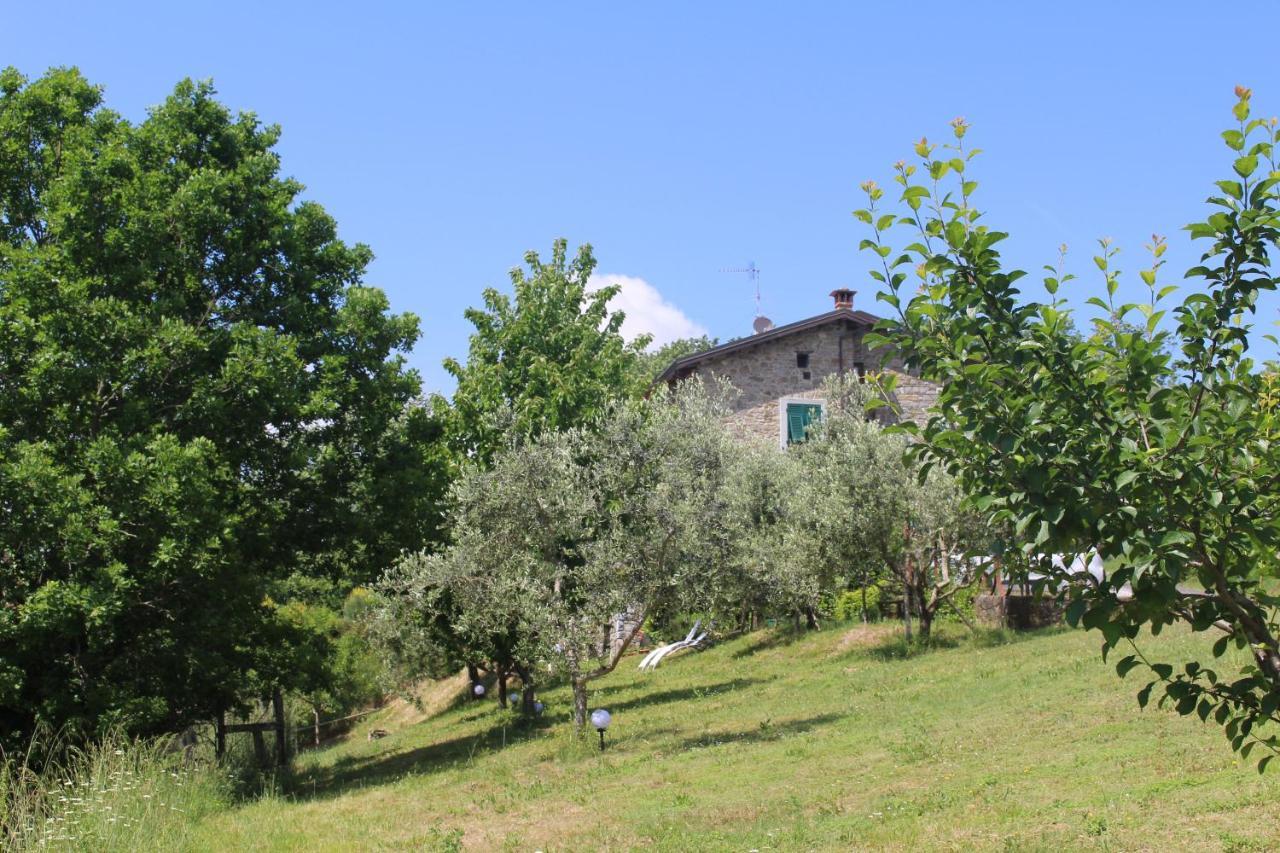 Agriturismo Angio Nel Cere Bracelli Zewnętrze zdjęcie
