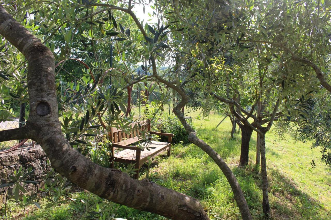 Agriturismo Angio Nel Cere Bracelli Zewnętrze zdjęcie