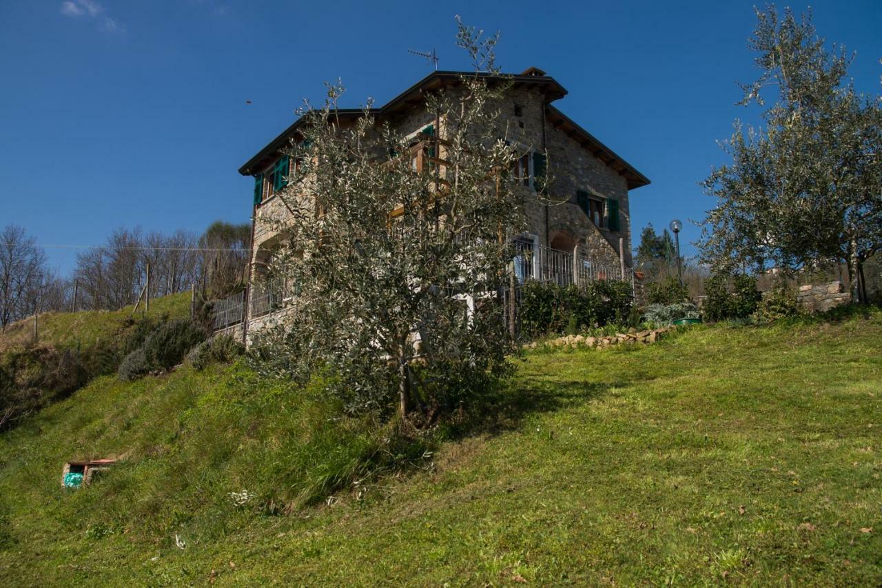 Agriturismo Angio Nel Cere Bracelli Zewnętrze zdjęcie
