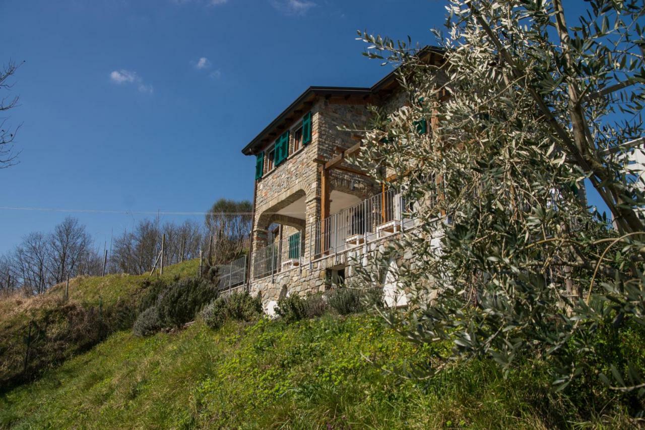 Agriturismo Angio Nel Cere Bracelli Zewnętrze zdjęcie